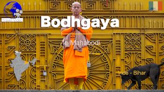 Bodhgaya, le temple de la Mahabodhi • Bihar, Inde